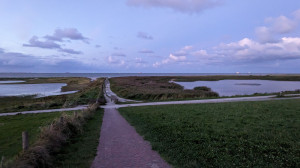 Ein Blick auf die Nordsee